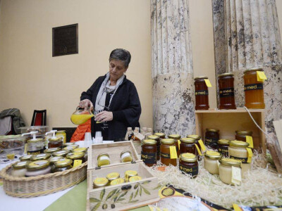 Med i proizvodi od meda