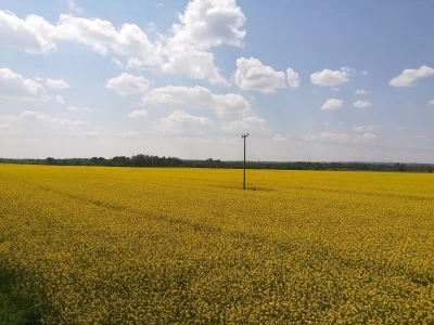 Med - Međimurje
