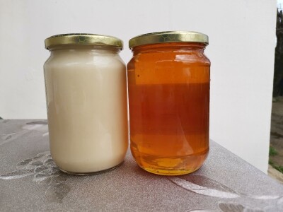 Med od uljane repice dobar za jetru i disajne organe