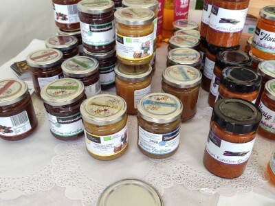 Opstanak pčelarenja u eri ekstremnih klimatskih pojava Opstanak pčelarenja u eri ekstremnih klimatskih pojava