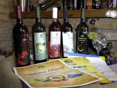 "Medena duž" dušu dala za vinogradarstvo