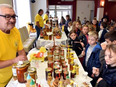 Medena zona u Novskoj Medena zona u Novskoj