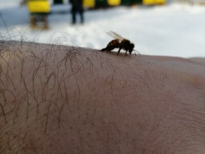 Medino Sokače - u koje treba svratiti