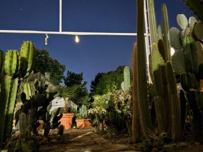 Mediteranska botanička bašta u Srbiji