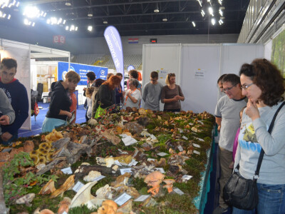 Međimurski gljivari pripremili su edukativni gljivarski stol za upoznavanje gljiva