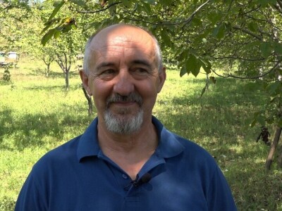 Medovača na Rađevski način