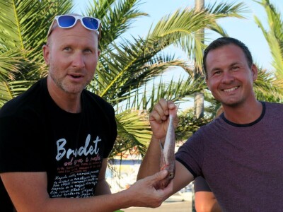 Medulinska noć - natjecanje u spremanju brudeta