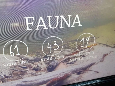 Međumurje malo