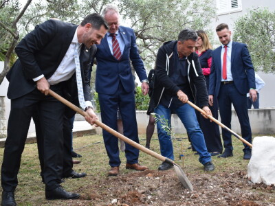 Međunarodna manifestacija maslinara i uljara Noćnjak 2022