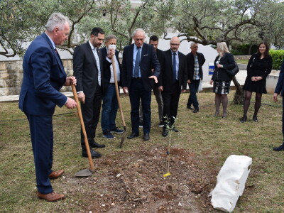 Međunarodna manifestacija maslinara i uljara Noćnjak 2022