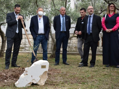 Međunarodna manifestacija maslinara i uljara Noćnjak 2022
