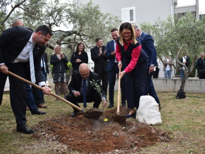 Međunarodna manifestacija maslinara i uljara Noćnjak 2022