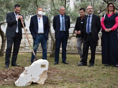 Međunarodna manifestacija maslinara i uljara Noćnjak 2022