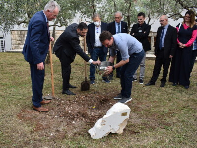 Međunarodna manifestacija maslinara i uljara Noćnjak 2022