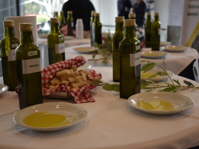 Međunarodna manifestacija maslinara i uljara Noćnjak 2022