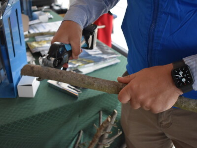 Međunarodna manifestacija maslinara i uljara Noćnjak 2022