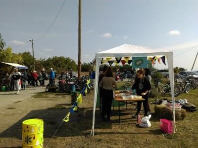 Međunarodni dan zaštite životinja