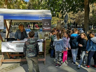 Međunarodni dan zaštite životinja