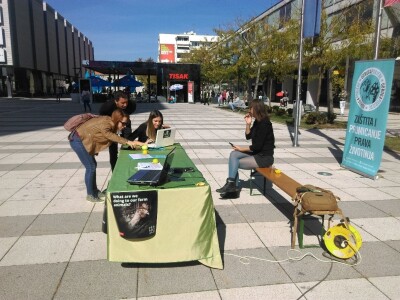 Međunarodni dan zaštite životinja