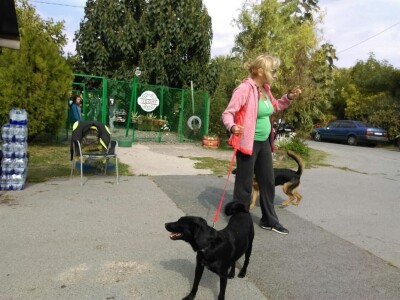 Međunarodni dan zaštite životinja