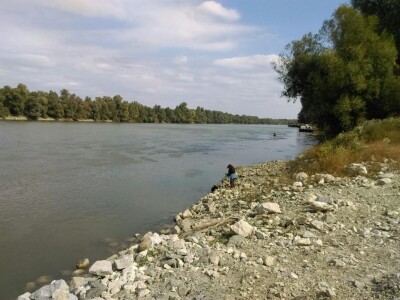 Međunarodni dan zaštite životinja