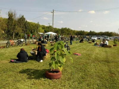 Međunarodni dan zaštite životinja