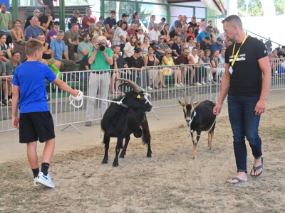 Međunarodni poljoprivredno-prehrambeni sajam AGRA u Gornjoj Radgoni