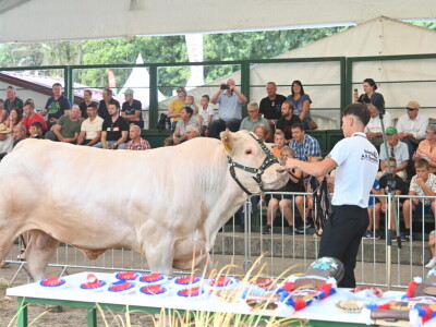Međunarodni poljoprivredno-prehrambeni sajam AGRA u Gornjoj Radgoni