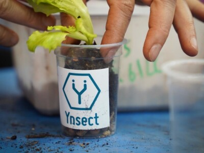 Međunarodni sajam poljoprivrede "Salon international de l'Agriculture - SIA"