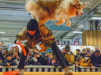 Međunarodni sajam poljoprivrede "Salon international de l'Agriculture - SIA"