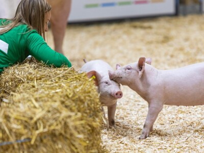 Međunarodni sajam poljoprivrede "Salon international de l'Agriculture - SIA" Međunarodni sajam poljoprivrede "Salon international de l'Agriculture - SIA"