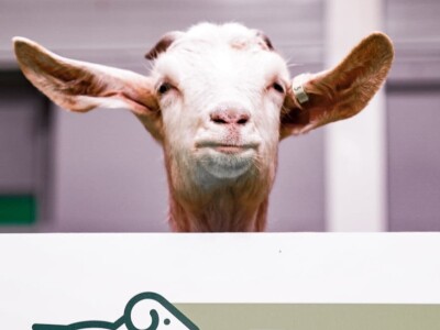 Međunarodni sajam poljoprivrede "Salon international de l'Agriculture - SIA" Međunarodni sajam poljoprivrede "Salon international de l'Agriculture - SIA"