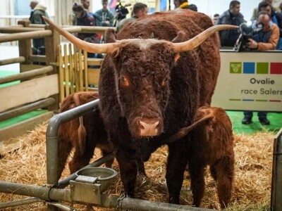 Međunarodni sajam poljoprivrede "Salon international de l'Agriculture - SIA" Međunarodni sajam poljoprivrede "Salon international de l'Agriculture - SIA"