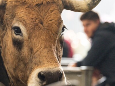 Međunarodni sajam poljoprivrede "Salon international de l'Agriculture - SIA" Međunarodni sajam poljoprivrede "Salon international de l'Agriculture - SIA"