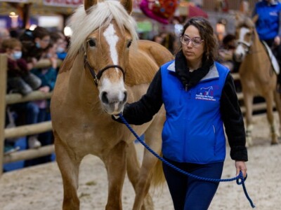 Međunarodni sajam poljoprivrede "Salon international de l'Agriculture - SIA" Međunarodni sajam poljoprivrede "Salon international de l'Agriculture - SIA"