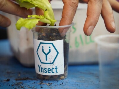 Međunarodni sajam poljoprivrede "Salon international de l'Agriculture - SIA"