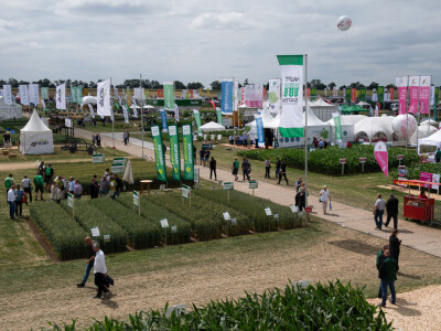 Međunarodno takmičenje u uzgoju ozime pšenice DLG-Feldtage