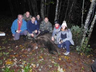 Medvedi Aleksandar i Zoran