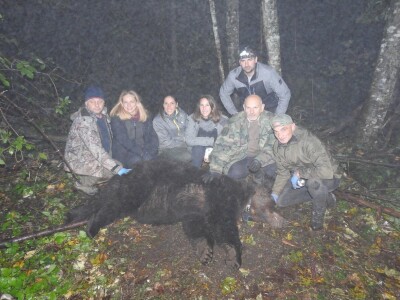 Medvedi Aleksandar i Zoran