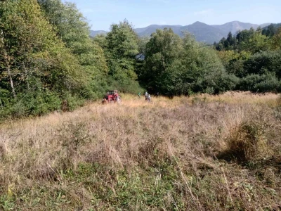 Medvedi u Zlatiborskom orkugu