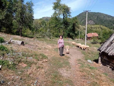 Medvedi u Zlatiborskom orkugu