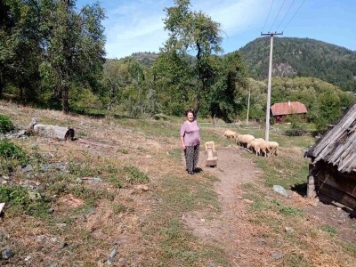 Medvedi u Zlatiborskom orkugu Medvedi u Zlatiborskom orkugu