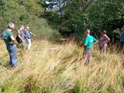 Medvedi u Zlatiborskom orkugu