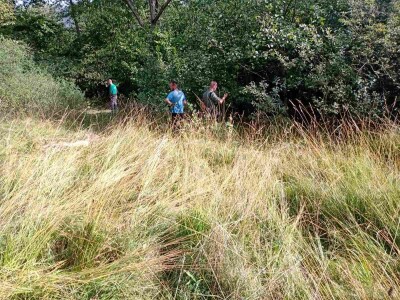 Medvedi u Zlatiborskom orkugu Medvedi u Zlatiborskom orkugu