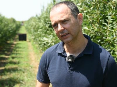 Mehanizovana berba višnje