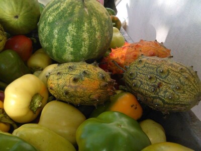 Mehić: Kada bi se domaći proizvodi više cijenili, nama poljoprivrednicima bi bilo puno lakše