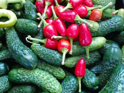 Mehić: Kada bi se domaći proizvodi više cijenili, nama poljoprivrednicima bi bilo puno lakše