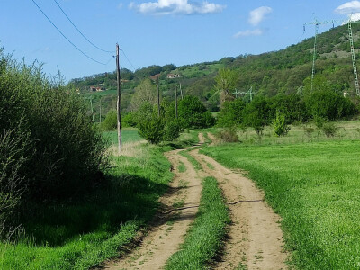 Melemi Timočke krajine