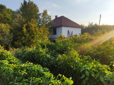 Melemi Timočke krajine