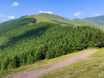 Melemi Timočke krajine